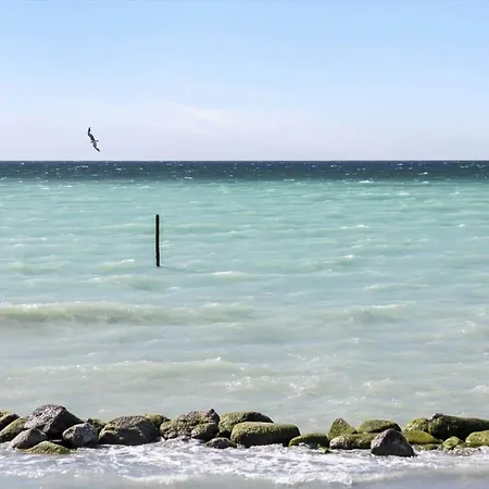 3047-stege-paelen-1 Hébergement de vacances