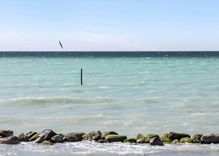 3047-stege-paelen-1 Hébergement de vacances